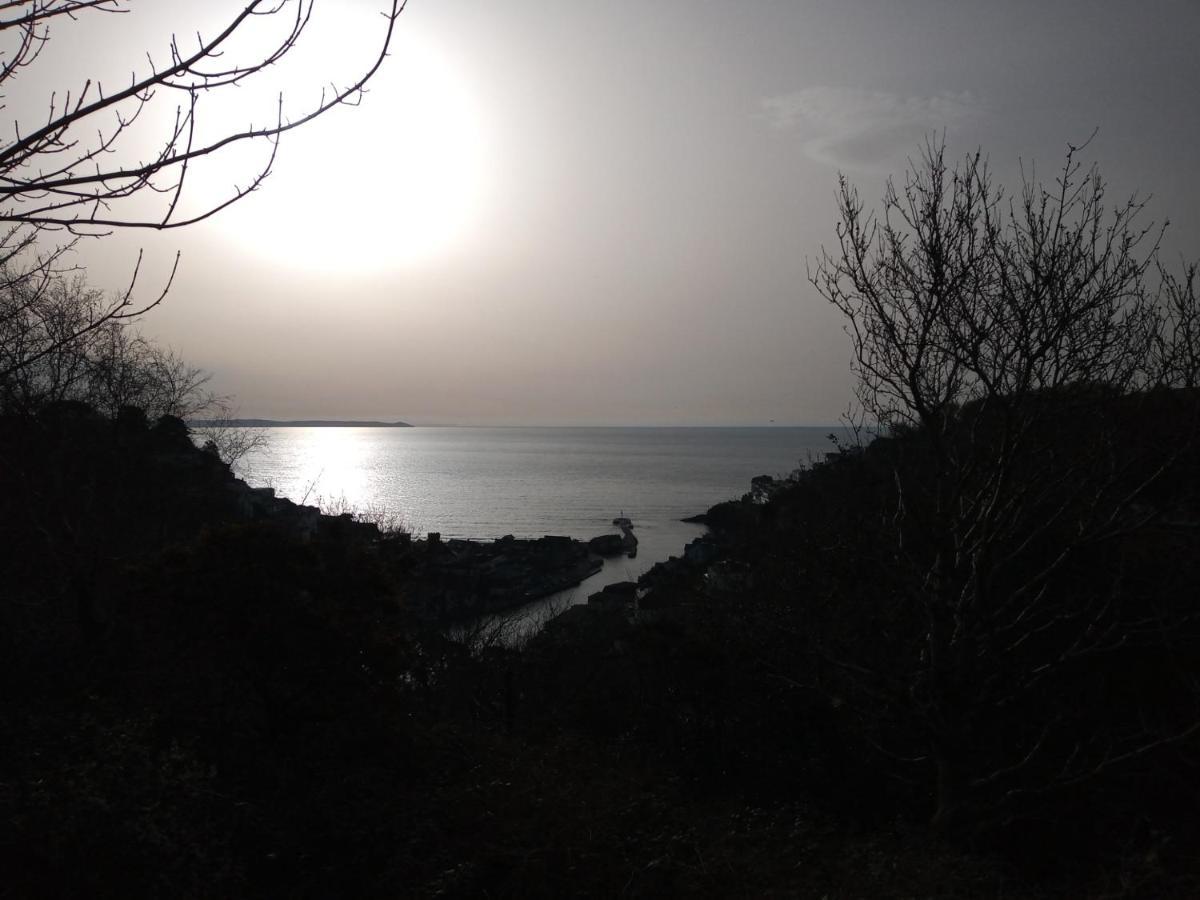 West Looe Downsアパートメント エクステリア 写真
